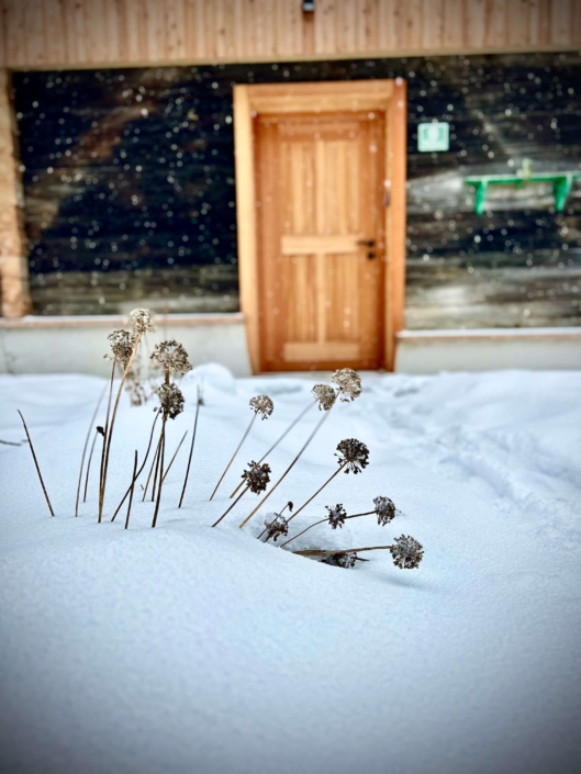 Tor zum Winter Wonderland