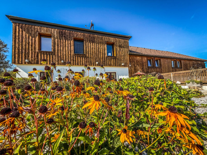 Ferienhaus mit Sonnenblumen